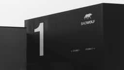 Brand Identity and Website for Bad Wolf - thumbnail 6