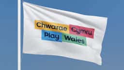 Brand Identity and Accessible Website for Play Wales - thumbnail 4
