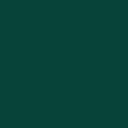 Brand Identity for Luxury Senior Living - thumbnail 4