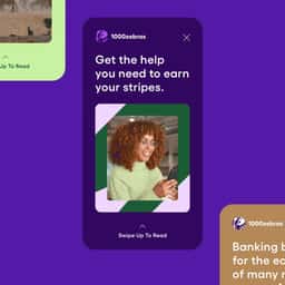 Brand Identity for 1000Zebras Credit Union - thumbnail 4