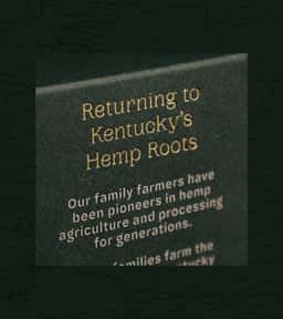 Brand Identity and Packaging for Kentucky Crafted Hemp Products - thumbnail 6