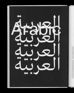 Editorial Design for the Bi-Scriptual Multiscript Typography Book - thumbnail 6