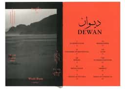 Visual Identity for DEWAN Festival - thumbnail 8