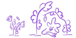 Visual Identity and Website for Frauenhaus Cocon - thumbnail 2