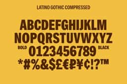 Brand Identity and Packaging for Danchos Corn Chips - thumbnail 7