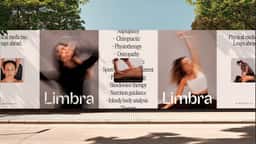Design Work for Limbra - thumbnail 5