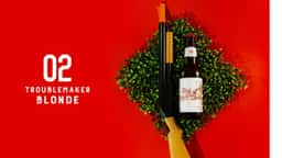 Brand Identity for Tiny Bastards Brewery - thumbnail 9
