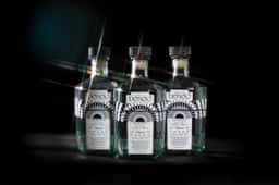 Brand Identity for Tequila Deseo - thumbnail 8
