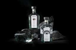 Brand Identity for Tequila Deseo - thumbnail 9