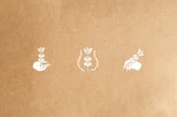 Brand Identity for Tierra de Café - thumbnail 9
