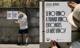 Brand Identity for Legal Wines - thumbnail 7