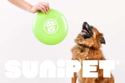 Brand Identity for a Chilean Pet Products Brand - thumbnail 3