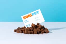 Brand Identity for a Chilean Pet Products Brand - thumbnail 4
