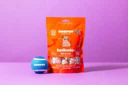 Brand Identity for a Chilean Pet Products Brand - thumbnail 7