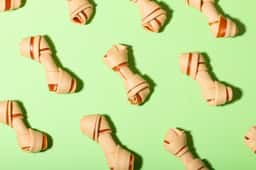 Brand Identity for a Chilean Pet Products Brand - thumbnail 9