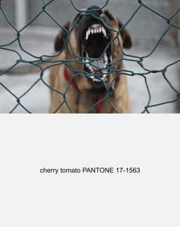 Digital Platform and Identity for by Chance - thumbnail 6