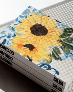 Visual Identity and Publication for Silva’s Encantado Album - thumbnail 4