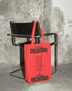 Visual Identity and Publication for Silva’s Encantado Album - thumbnail 7