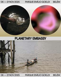 Exhibition Identity for Planetary Embassy - thumbnail 6
