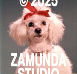 Brand Identity for Zamunda Audiovisual Studio - thumbnail 2
