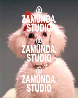 Brand Identity for Zamunda Audiovisual Studio - thumbnail 7