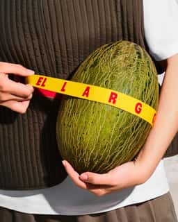 Packaging for a Melon Brand - thumbnail 2