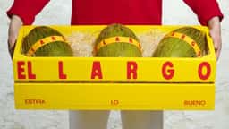 Packaging for a Melon Brand - thumbnail 3