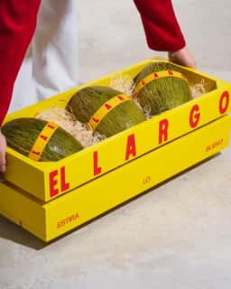 Packaging for a Melon Brand - thumbnail 8