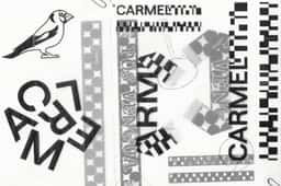 Brand Identity and Packaging for Carmel - thumbnail 8