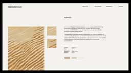 Brand Identity for a Luxury Custom Rug Brand - thumbnail 4