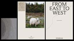 Brand Identity for a Luxury Custom Rug Brand - thumbnail 5