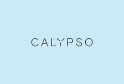 Brand Identity for Calypso AI - thumbnail 3