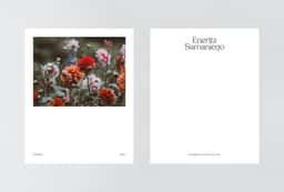 Brand Identity for a Madrid Floral Studio - thumbnail 4