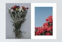Brand Identity for a Madrid Floral Studio - thumbnail 6