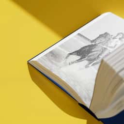 Art Direction and Motion Design for Ralph Lauren Polo Shirt Book - thumbnail 6