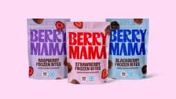 Brand Identity and Packaging for Berry Mama Frozen Snacks - thumbnail 3