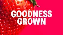Brand Identity and Packaging for Berry Mama Frozen Snacks - thumbnail 7