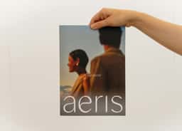 Brand Identity and Sales Campaign for Aeris - thumbnail 3