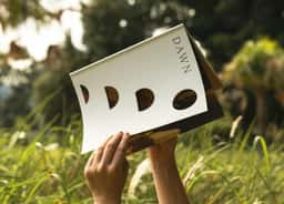 Brand and Sales Campaign for Dawn Apartments - thumbnail 3