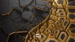 Brand Refresh for BBC - thumbnail 2