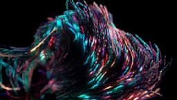 Motion Identity for Palms Nightclub - thumbnail 8