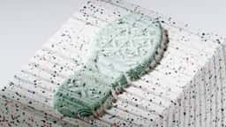 Campaign and Motion Design for Converse Renew - thumbnail 2