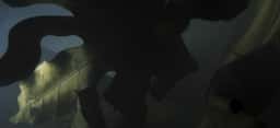 Live Performance Visuals for LFOs - thumbnail 2