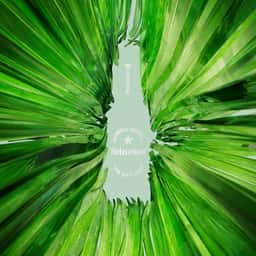 Digital Campaign for Heineken - thumbnail 7