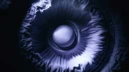 Experimental Visual Campaign for Bang & Olufsen - thumbnail 3