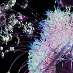 Digital Fashion Experience for H&M Metaverse Design Story - thumbnail 7