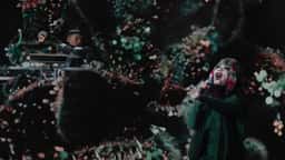 Experimental Film and Live Show Visuals for Bjork's Fossora - thumbnail 6