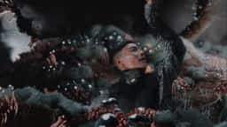 Experimental Film and Live Show Visuals for Bjork's Fossora - thumbnail 8