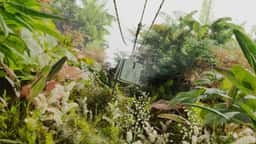 Campaign Film for Global Vaccine Alliance - thumbnail 5