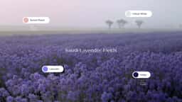 Brand Identity for Riyadh Air - thumbnail 4